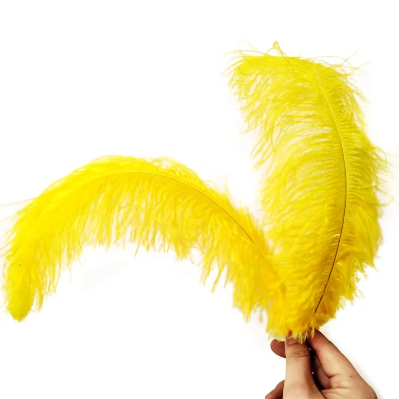 Plume de déco,Plumes d'autruche naturelles, 10 mètres, accessoires de Plume de déco,Plumes d'autruche naturelles, 10 mètres, accessoires de