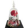 Beauty and Beast 16 * 26cm+Gift Box
