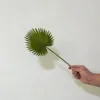 Single Mini Golden Rain Leaf