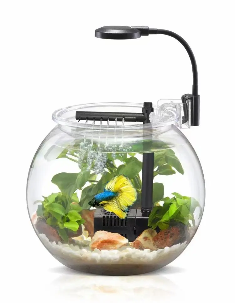 Wholesale Desktop USB 4L 12L Transparent Clear Round Small Cheap Plastic Fish Tank With Filter