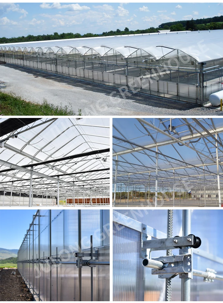 Polycarbonate Greenhouse Chinese Greenhouses Multispan Greenhouse With