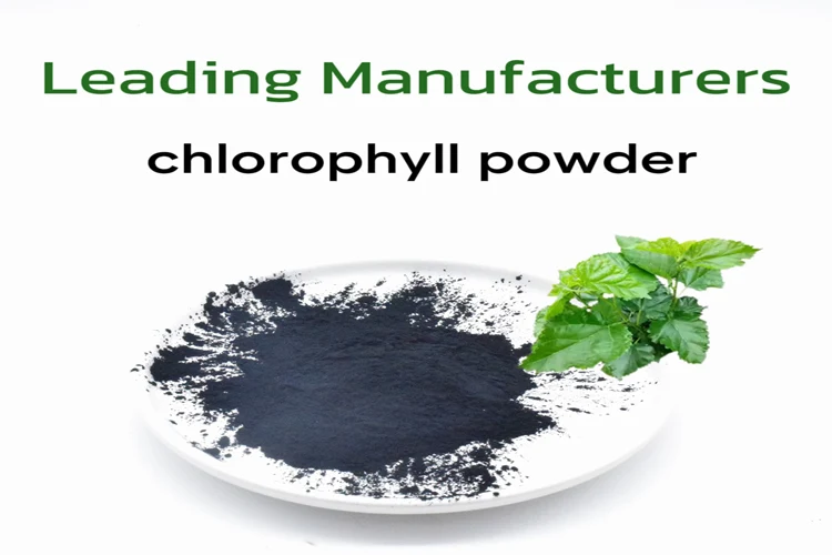 Factory Wholesale Liquid Chlorophyll Powder Supplement Sodium Copper  Chlorophyllin Chlorophyll Powder for Health| Alibaba.com