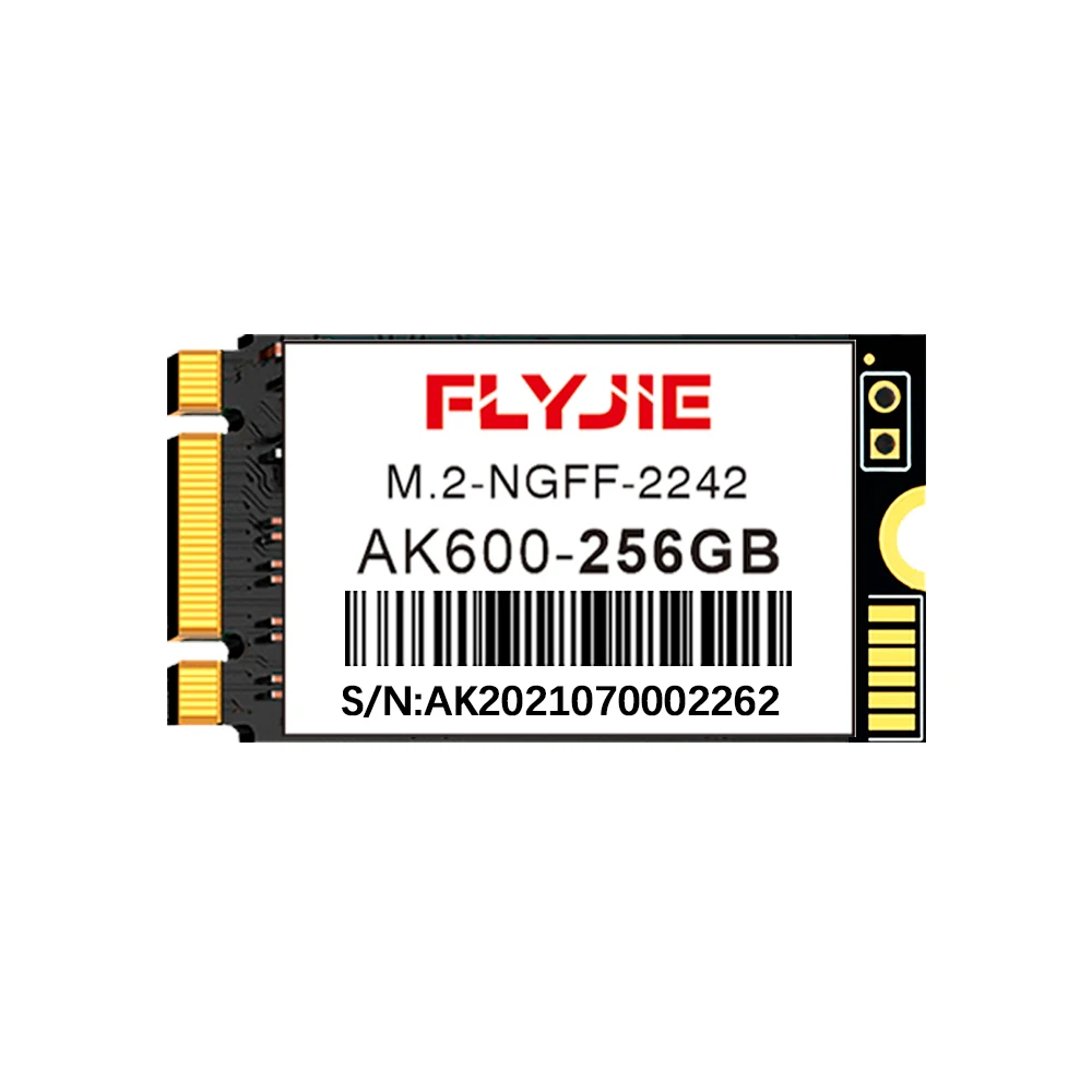 Flyjie Memory Ghost Ssd 128gb M2 2242 256GB 512GB 1TB for Laptop Components