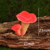 No. 12 Red Mushroom