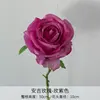 Rosa anji rosa viola