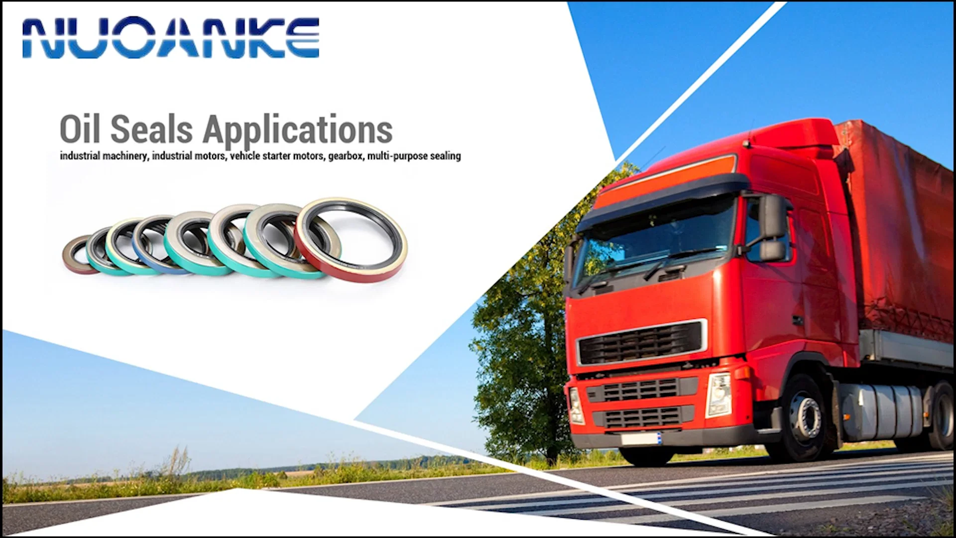 Germany Oil Seal Cfw Merkel Frudenbery Simrit Oil Seal Hydraulic Pump