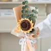Eucalipto Girasol