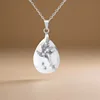 Pino dalla corteccia bianca Argento