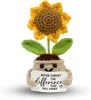 Yellow sunflower