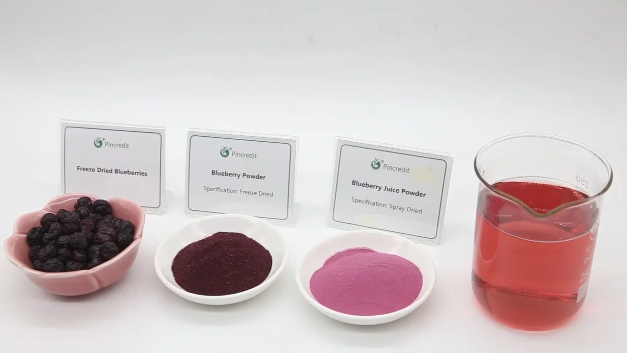 100 Pure Freeze Dried Wild Bulk Organic Blueberry Powder Buy