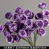 Purple 3-headed Austin branch