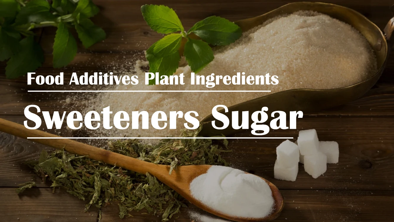 Wholesale Bulk High Quality Natural Stevia Extract Stevia Reb M 98