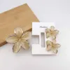 Gelatina 06 beige