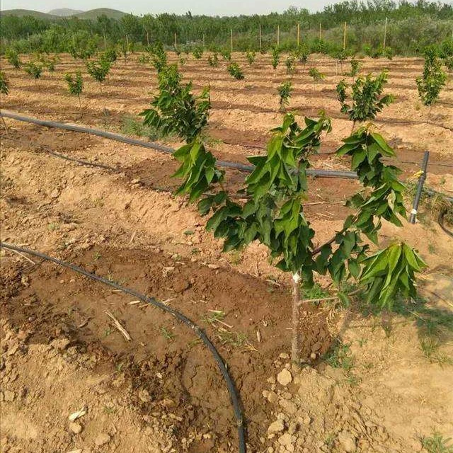 КАПЕЛЬНАЯ Оросительная труба для системы капельного орошения