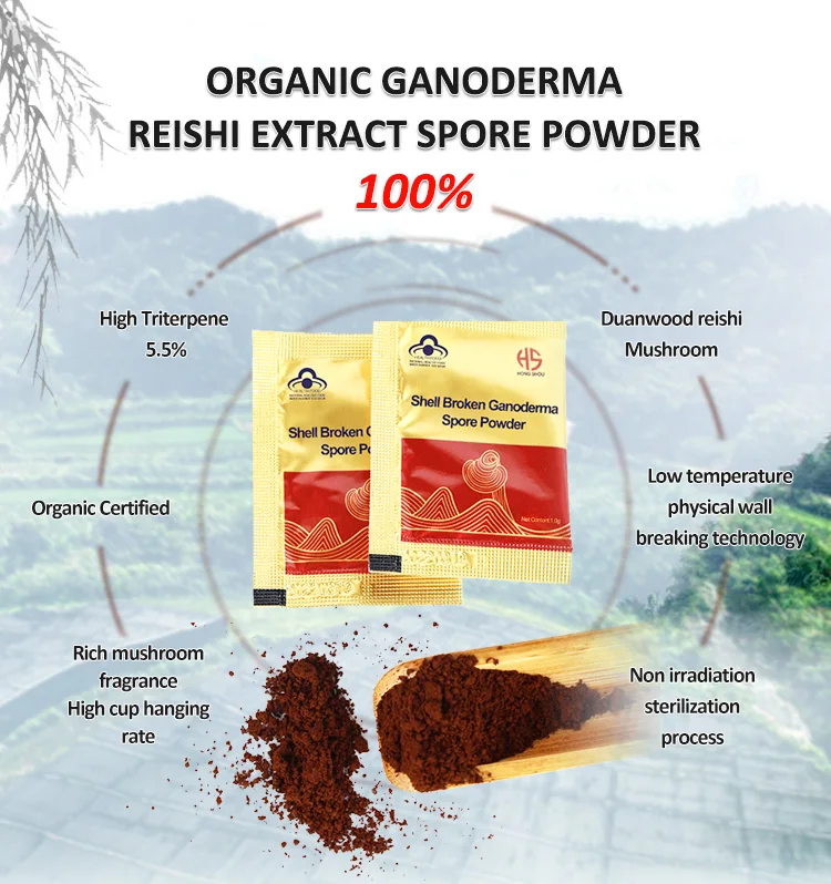 Ginseng Extract Reishi Mushroom Ganoderma Lucidum Product