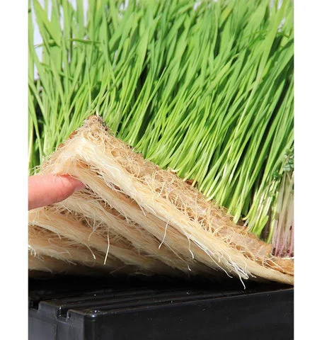 animal fodder system