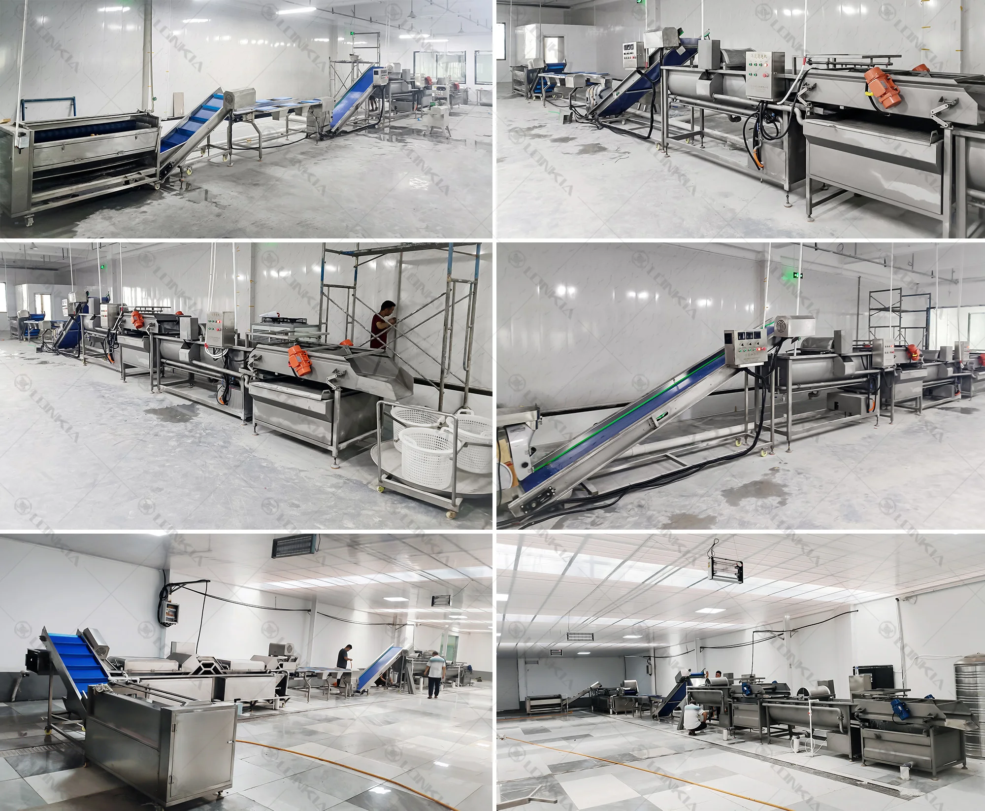 Vegetable Vortex Cleaning Machine manufacture