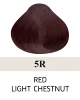 5R Red Light Chestnut