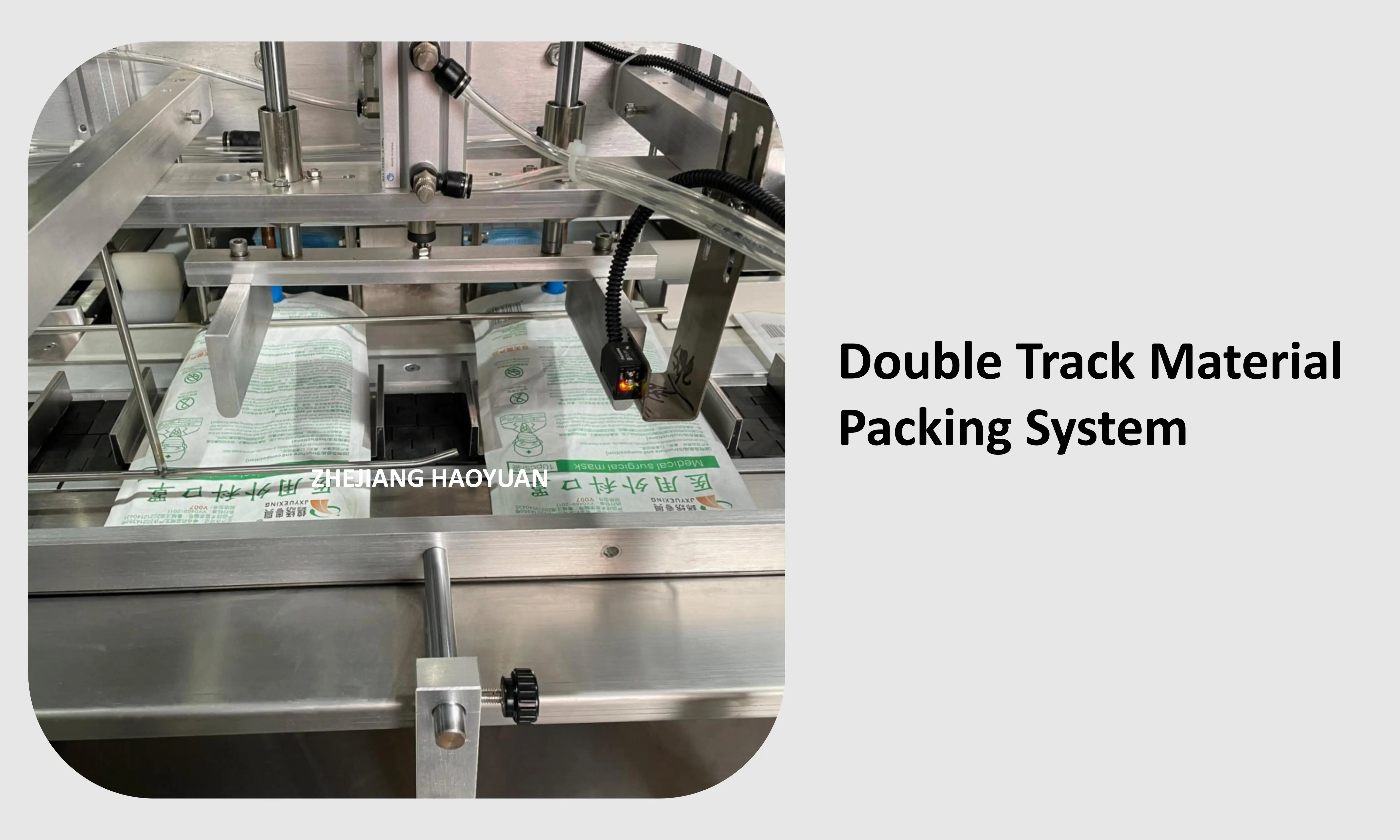 HY-200  High Quality Snack Premade Pouch Bag Filling and Sealing Packing Machine Biscuit Cookies Bag in Bag Packing Machine details