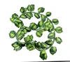 LV02 verde