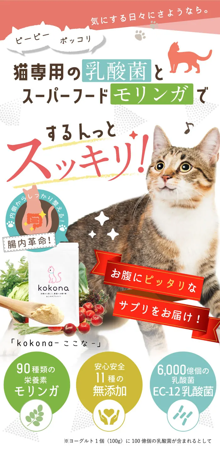 aikona -あいこな- 犬用健康補助食品（モリンガ含有食品） - ペットフード
