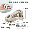 Cráneo de Tyrannosaurus rex sin mandíbula inferior