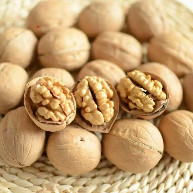 Premium Factory Wholesale Walnut With Shell and Without Shell  Bulk Dried Walnut Available for Sale