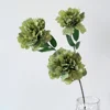 [15]Grande pivoine verte à trois têtes