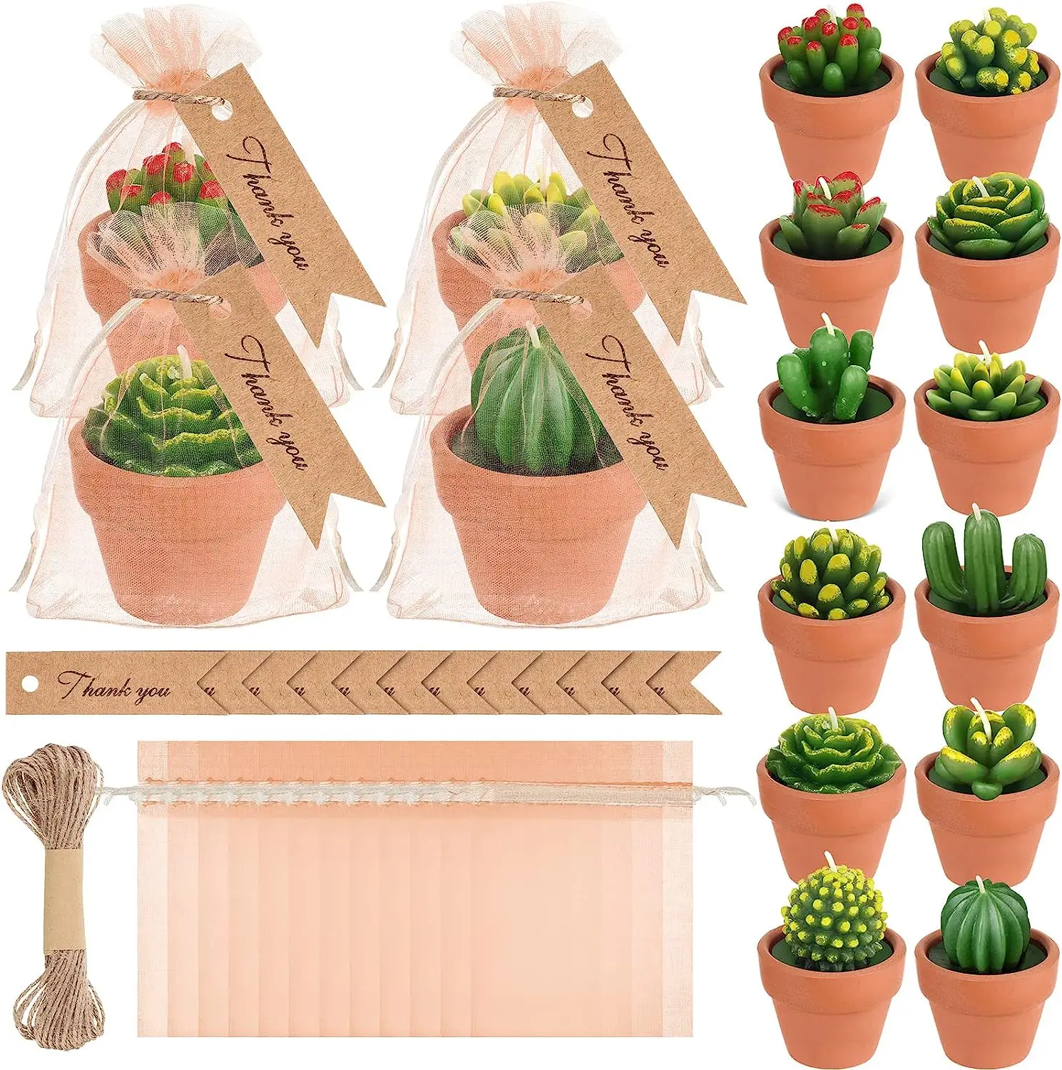Partiler iin yenilikler etli bitki mum Mini kakts Tealight mumlar  misafirler iin dn hediyelik eya iin