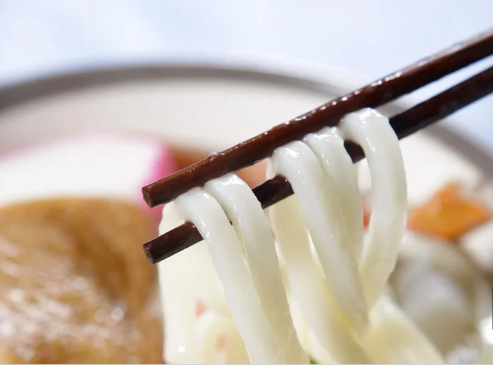 Japanese Style Fresh Udon Noodles