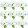 สีขาว