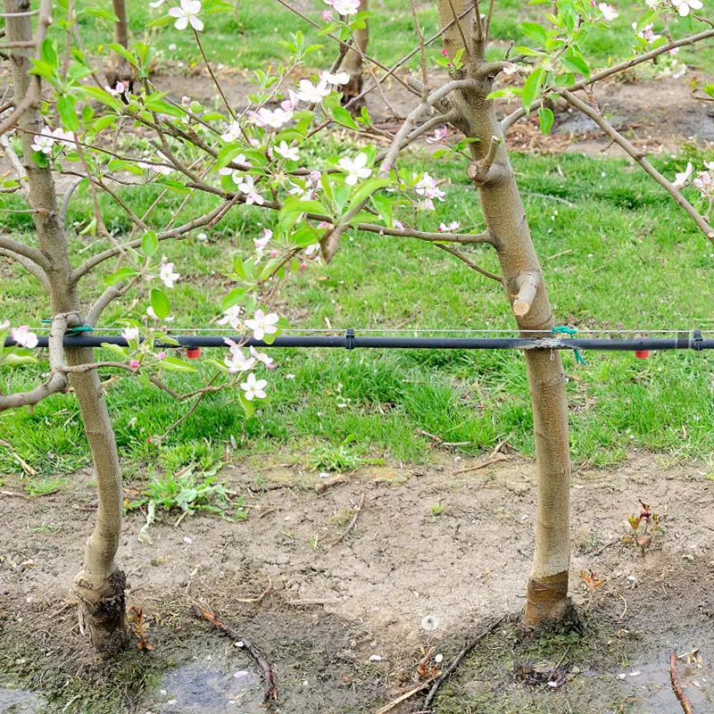 Farm Automatic 2l 4l/hr 8l Irrigation Dripper Fruit Tree Drip Irrigation System