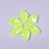 Jonquil Neon