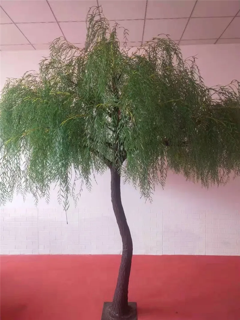 money tree marysville Money Tree main image 1