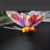 Dynamic Butterfly/74CM * 60CM