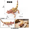 Lézard épineux coloré 3276