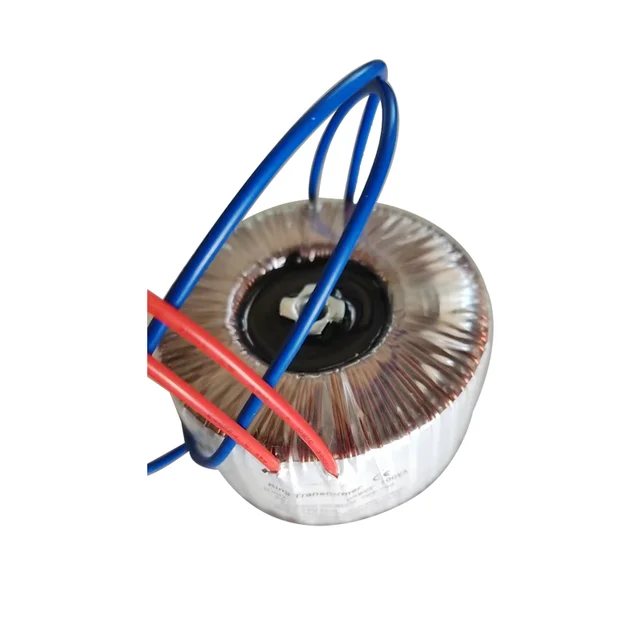 Single-Phase 1000VA Toroidal Power Transformer for Audio Amplifiers 50Hz 110V Input Coil 220V/24V DC Low Voltage Output Coil