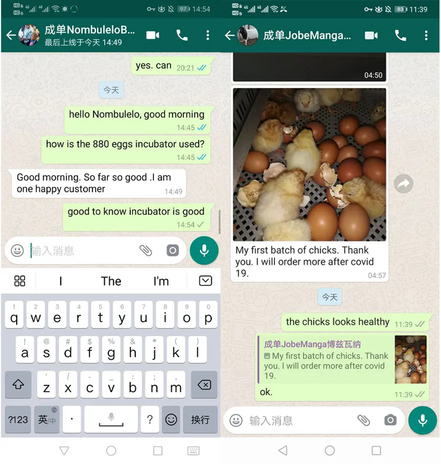 Multi-Function Dual Power LED Light 98% Hatching Rate Small Chicken Egg Incubator Automatic Egg Incubator