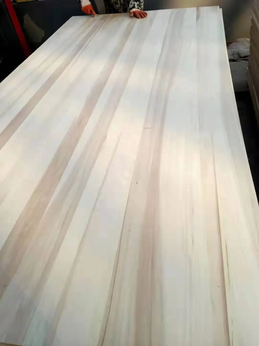 포플러 나무 가격 목재 입방 미터 가격 포플러 나무 가격