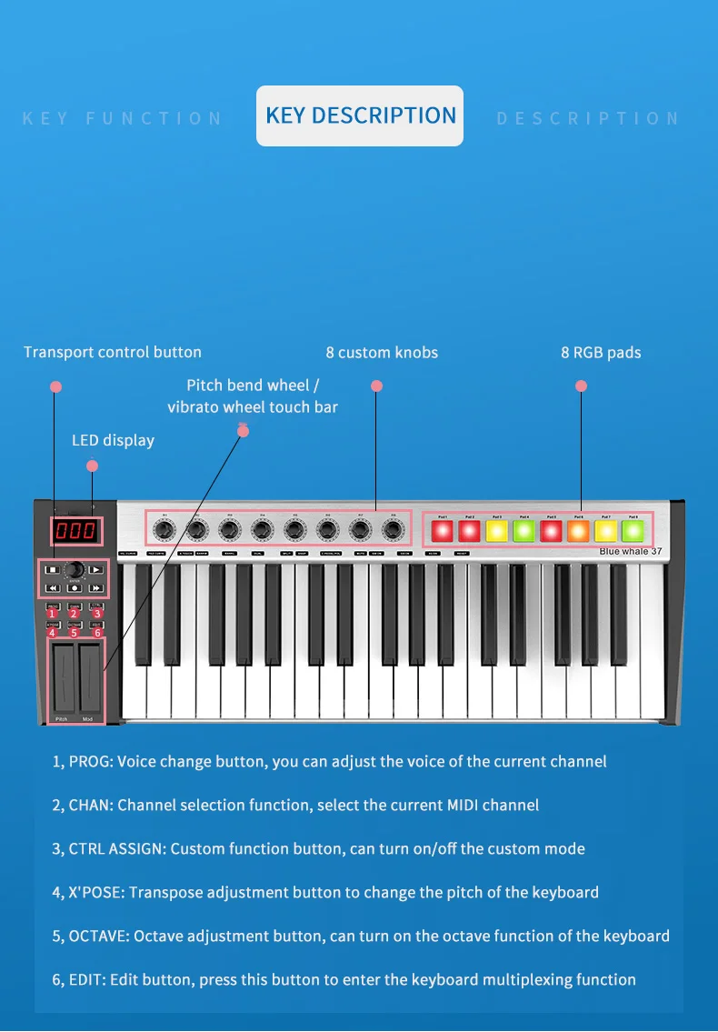 49 Key Mini Keyboard 49 Keys Professional MIDI Keyboard Controller - Plug and Play USB