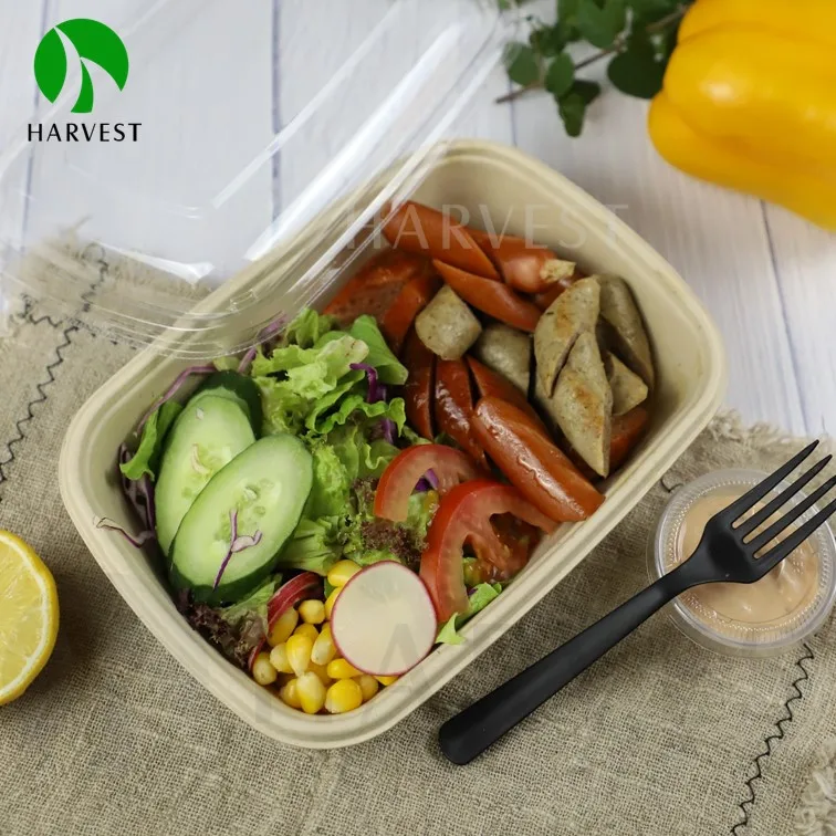 Harvest Food Packaging  CR Rectangle Series Biodegradable Food Container,  Compostable Food Container, Sustainable Food Packaging