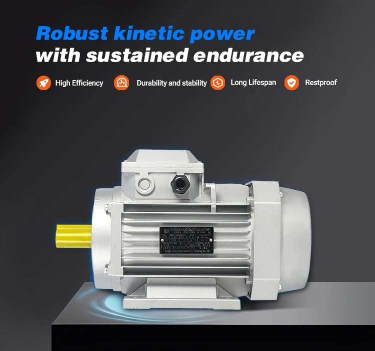 Electric Motor, IEC, 3000W, 50Hz - detail 4
