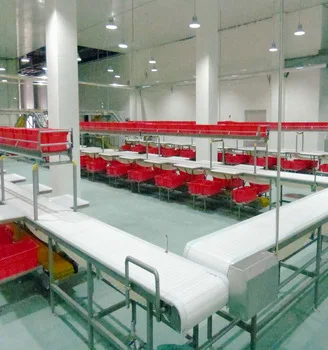 Cattle slaughterhouse lines and equipment for beef slaughtering