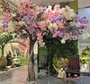 Árbol de cerezo multicolor con flores mezcladas.
