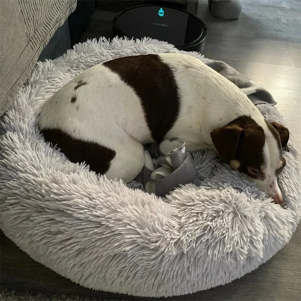 Pet cushion plush soft donut dog bed accessories washable calming sofa camas para perros large custom luxury cat dog pet bed