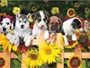 Chien et chat sur une clôture de tournesols.