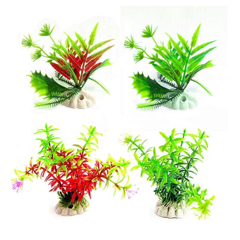 bulk aquarium plants