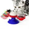 LED Interactive Cat Spinning Toy - Royal Blue