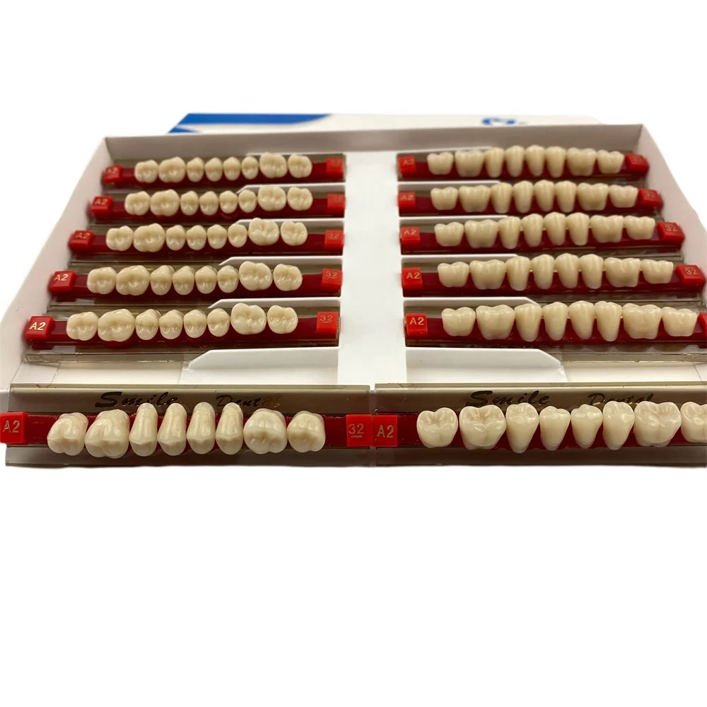 Dental False Teeth Posterior Acrylic Resin Teeth Artificial Teeth Buy