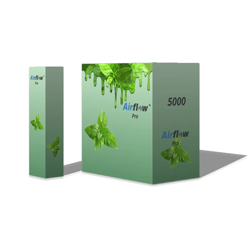 2020 Новые товары изготовления на заказ 6 мл 5000puffs одноразовая электронная сигарета приспособления для ручки